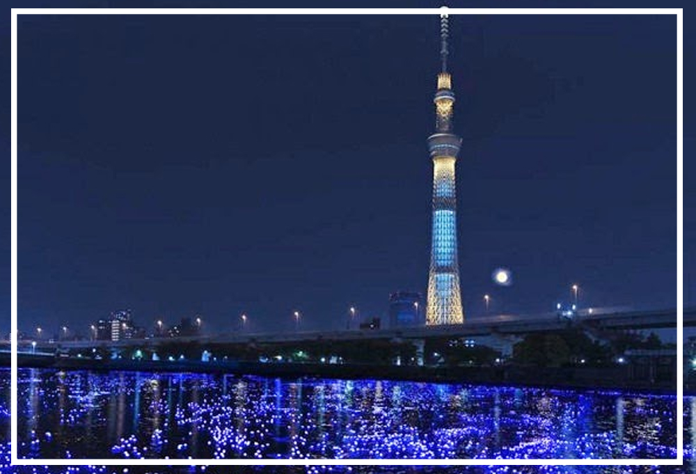 Đèn led trang trí sông Sumida Nhật Bản